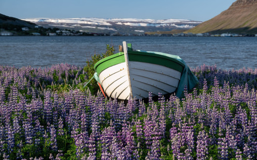 1696388 (a): :2560x1600